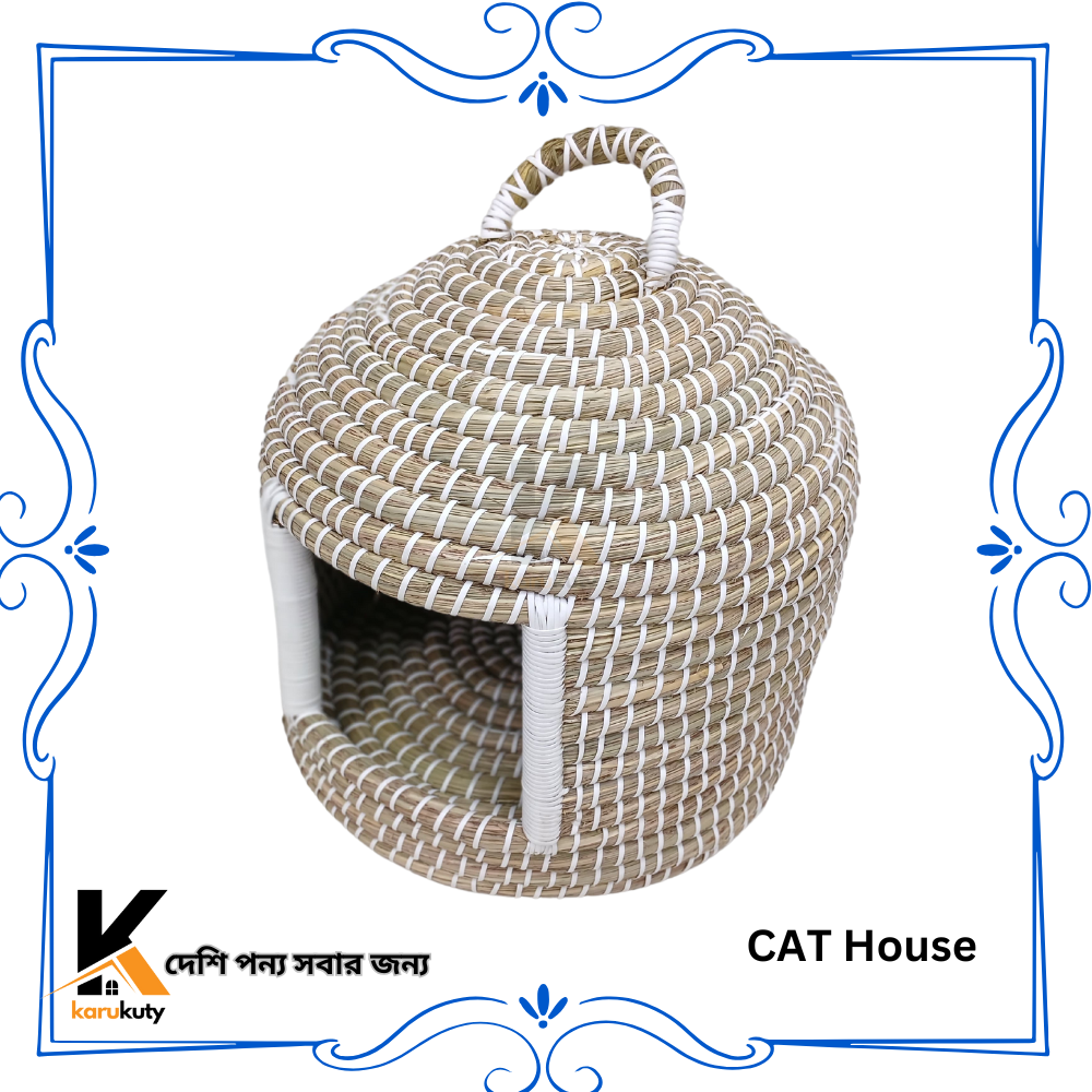 CAT House Big